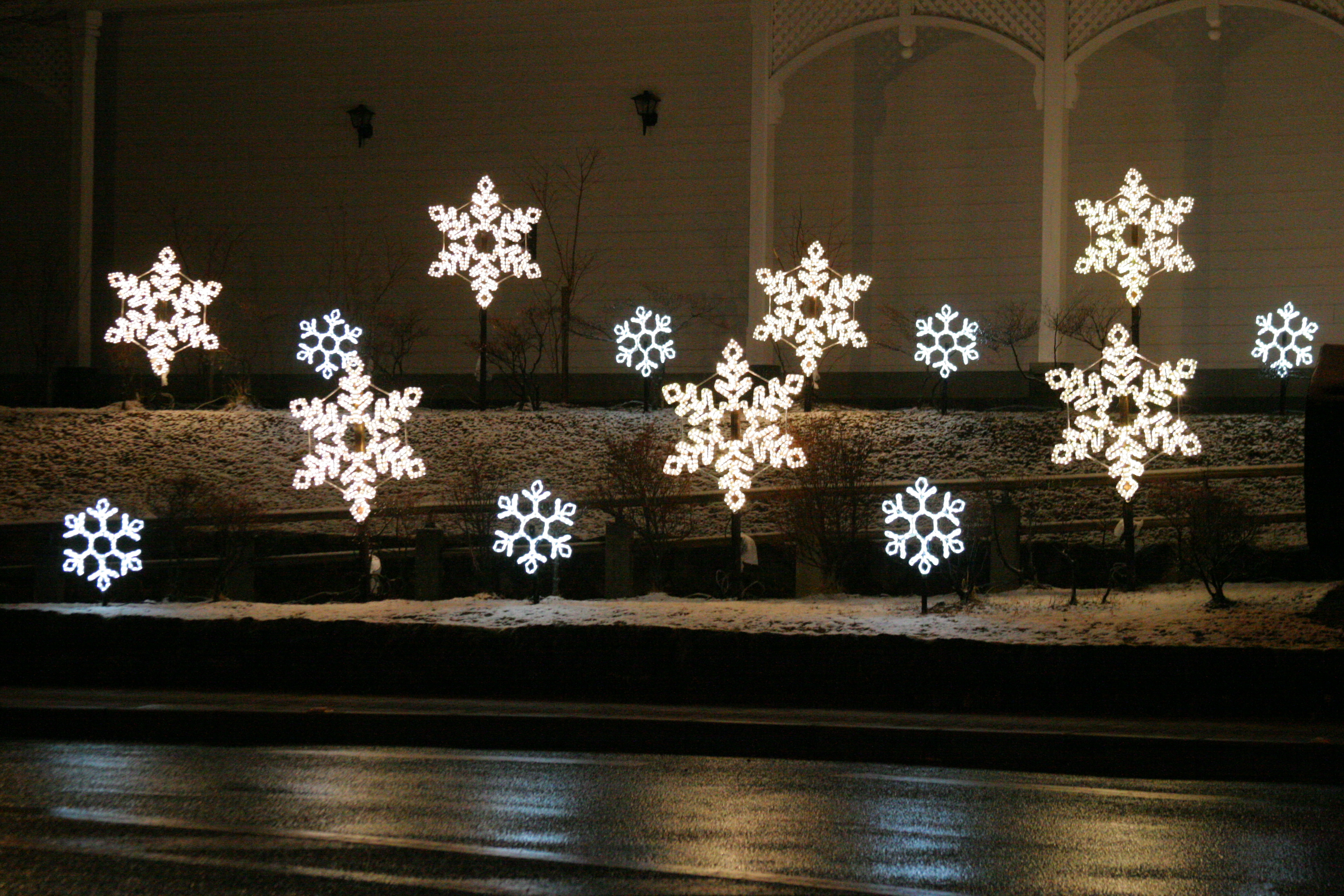 雲仙灯りの花ぼうろ